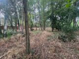  2637968-11881annonce320260917WTmkk.jpeg Maisons Open