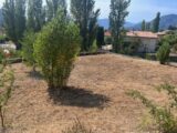  2601271-6150annonce2202608127JZb0.jpeg Maisons Open