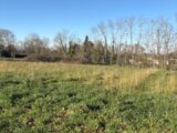  2628238-10947annonce1202609104ChiX.jpeg Maisons Open