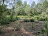  2588426-11169annonce120260723JL2Mh.jpeg Maisons Open