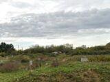  2684313-11968annonce120261020IlmLD.jpeg Maisons Open