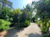  2686494-11881annonce120261022U53Fy.jpeg Maisons Open