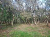  2688062-5922annonce320261023hTciz.jpeg Maisons Open