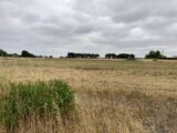  2687946-12007annonce320261023tSls6.jpeg Maisons Open