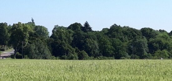 Terrain à bâtir à Saint-Rémy-lès-Chevreuse, Île-de-France