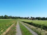  2688633-11864annonce220261023L8OPU.jpeg Maisons Open