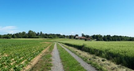 Saint-Rémy-lès-Chevreuse Terrain à bâtir - 2688633-11864annonce220261023L8OPU.jpeg Maisons Open