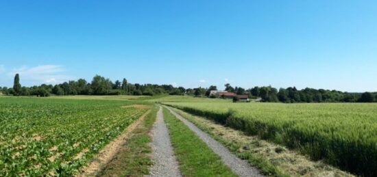 Terrain à bâtir à , Yvelines