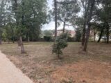 2686172-11356annonce120261022HInGW.jpeg Maisons Open