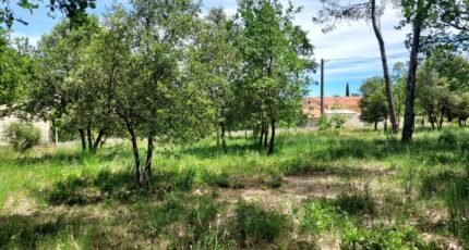 Garéoult Terrain à bâtir - 2688500-11137annonce3202606150kp1S.jpeg Maisons Open