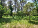  2688514-11137annonce120260615COZnl.jpeg Maisons Open