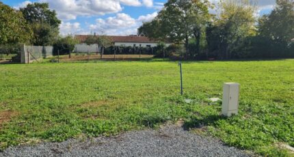 Mazeray Terrain à bâtir - 2686081-11784annonce220261022PJLXe.jpeg Maisons Open