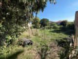  2689692-11073annonce320261025uy2ce.jpeg Maisons Open
