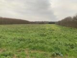  2685480-6150annonce220231025mZQQ1.jpeg Maisons Open