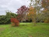  2692929-10677annonce120261027WWu4n.jpeg Maisons Open