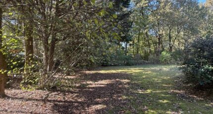 Belin-Béliet Terrain à bâtir - 2691855-11448annonce120261027oxCnQ.jpeg Maisons Open