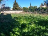  2695058-695annonce420261029o9wbE.jpeg Maisons Open