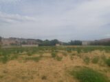  2694802-695annonce220261029wyB9O.jpeg Maisons Open