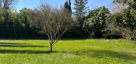 Terrain à bâtir à Mouriès, Provence-Alpes-Côte d'Azur