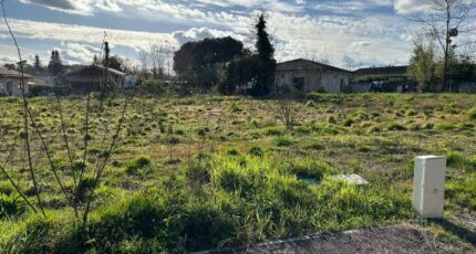 Martillac Terrain à bâtir - 2694587-10657annonce120261029FTrNl.jpeg Maisons Open