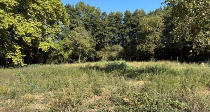 Martillac Terrain à bâtir - 2694677-11954annonce120261029xTDiV.jpeg Maisons Open