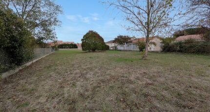 Plaisance-du-Touch Terrain à bâtir - 2694742-10326annonce120261029BoiQT.jpeg Maisons Open