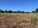  2695296-6150annonce220260817SQbpf.jpeg Maisons Open